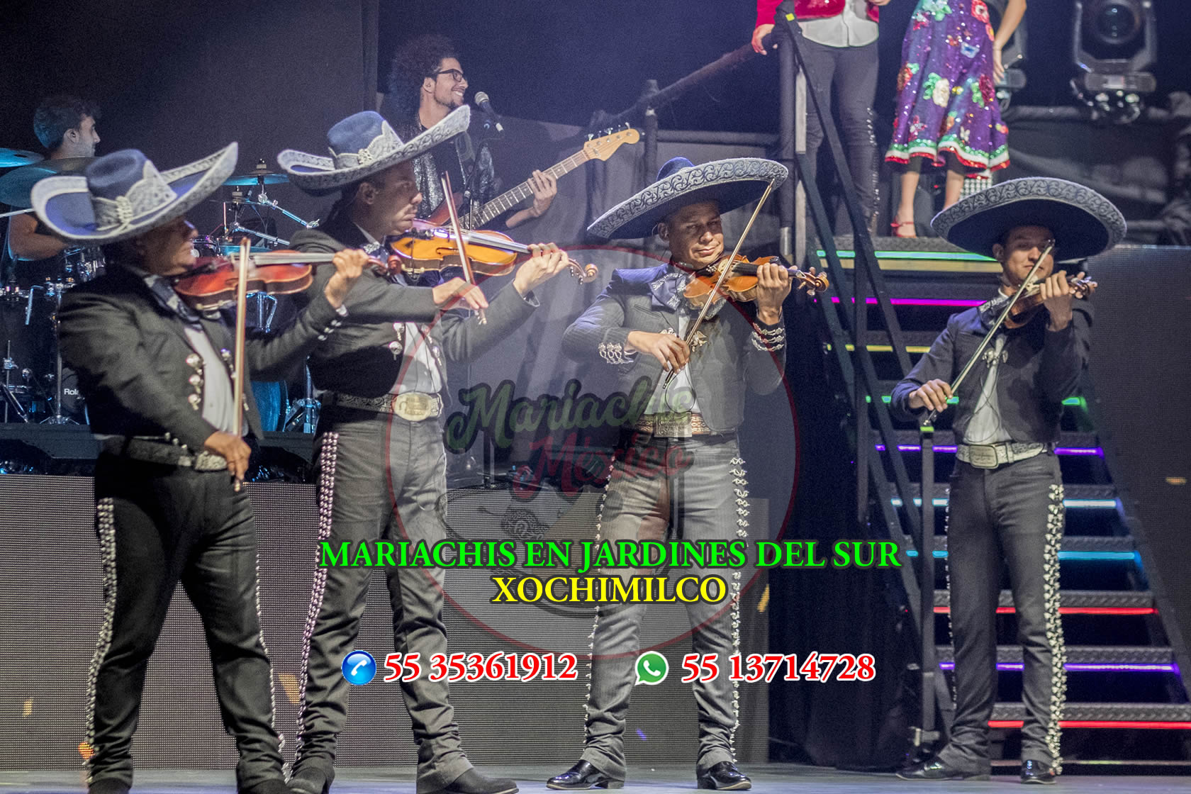 Mariachis en Xochimilco 